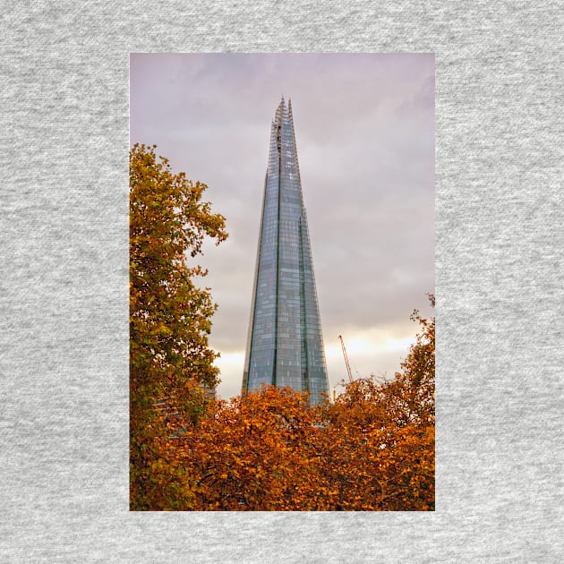 The Shard London Bridge Tower by AndyEvansPhotos